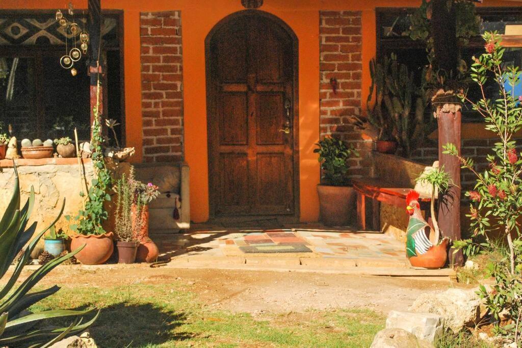 Hostal Casa 4 Estaciones, Coliving & Nature San Cristóbal de Las Casas Exteriér fotografie