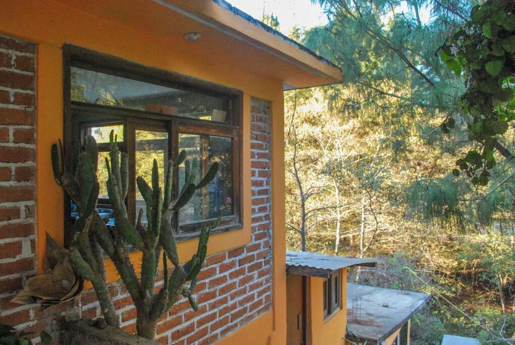 Hostal Casa 4 Estaciones, Coliving & Nature San Cristóbal de Las Casas Exteriér fotografie