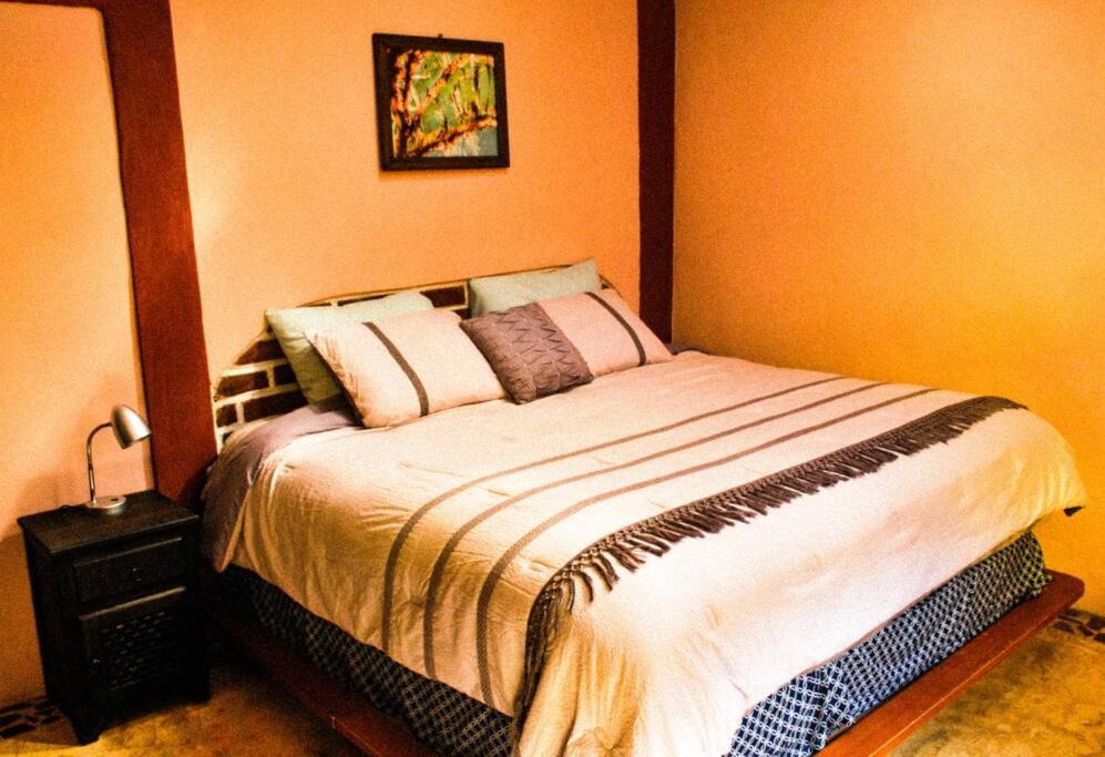 Hostal Casa 4 Estaciones, Coliving & Nature San Cristóbal de Las Casas Exteriér fotografie